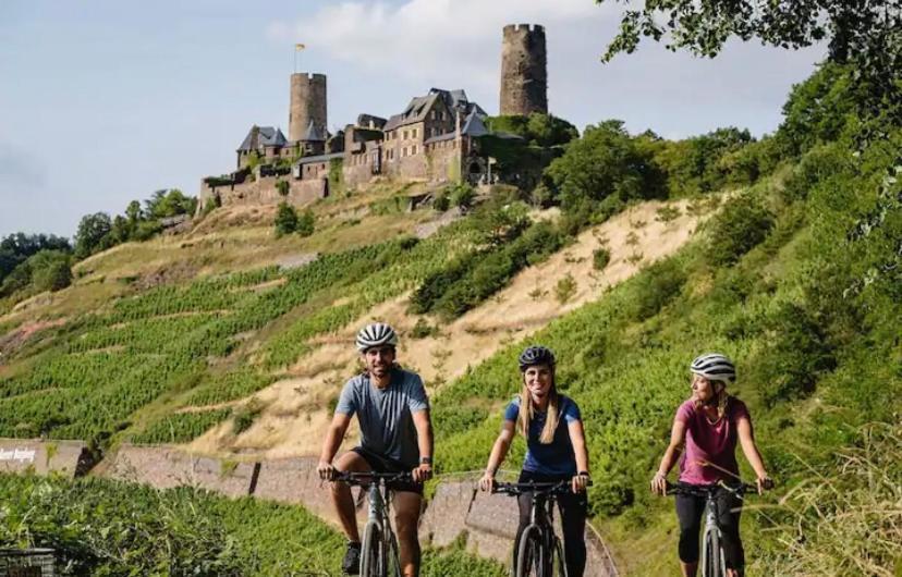 Rheinmosel Glueck 5 Appartamento